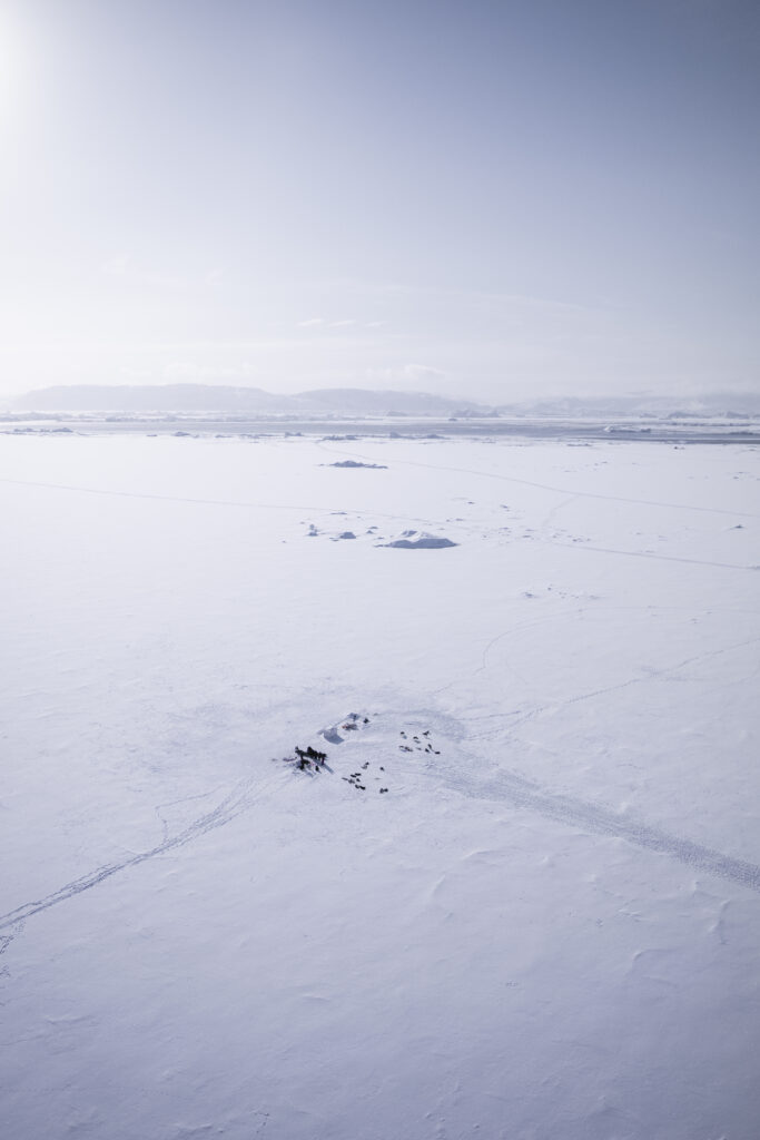 Ilulissat Kangerlua / Isfjorden / Icefiord